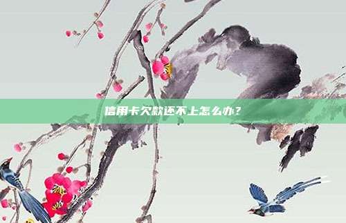 信用卡欠款还不上怎么办？