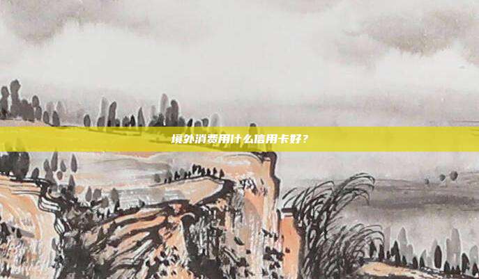 境外消费用什么信用卡好?