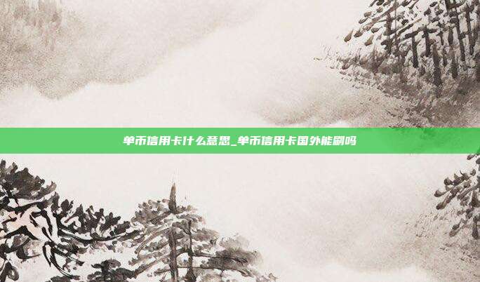 单币信用卡什么意思_单币信用卡国外能刷吗