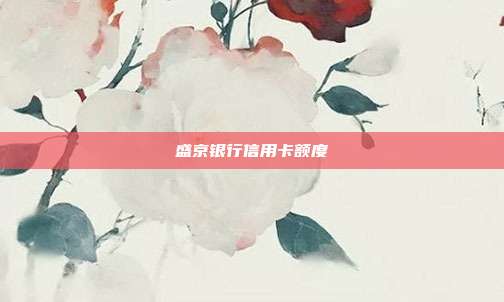 盛京银行信用卡额度