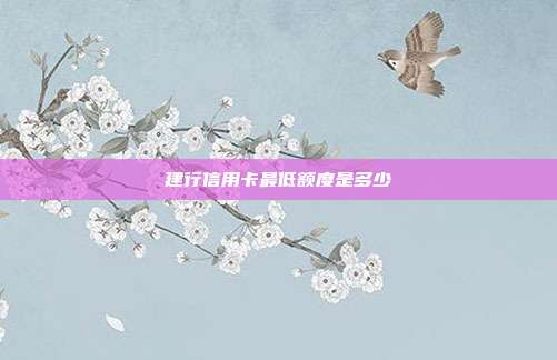 建行信用卡最低额度是多少