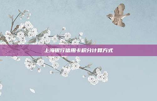 上海银行信用卡积分计算方式