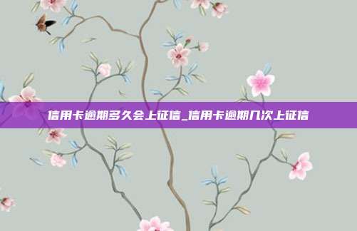 信用卡逾期多久会上征信_信用卡逾期几次上征信