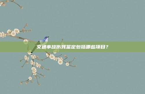 交通事故伤残鉴定包括哪些项目?