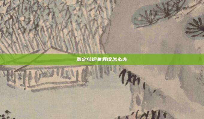 鉴定结论有异议怎么办