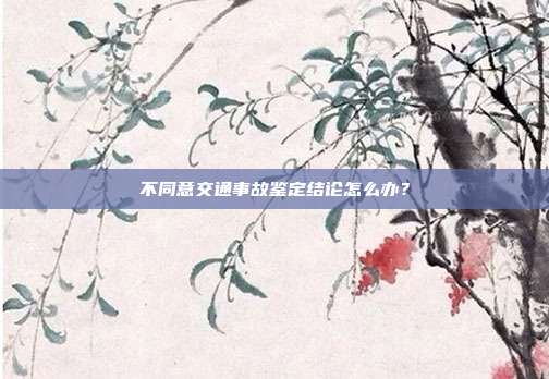 不同意交通事故鉴定结论怎么办?