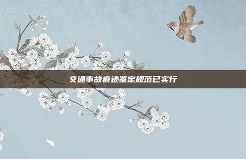 交通事故痕迹鉴定规范已实行