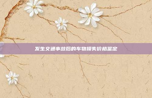 发生交通事故后的车物损失价格鉴定