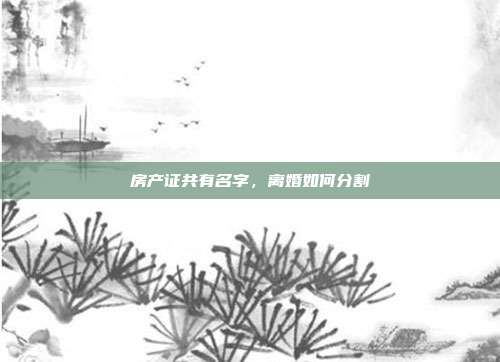 房产证共有名字，离婚如何分割