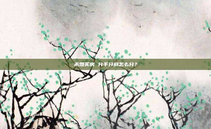 未婚买房 分手分割怎么分？