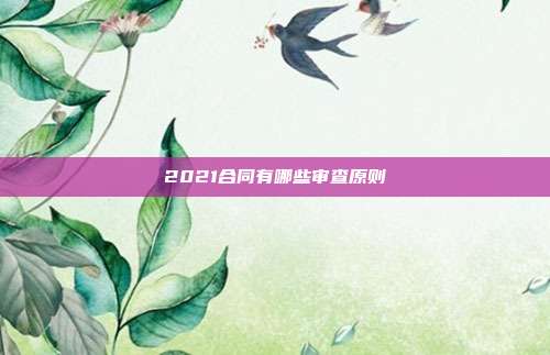 2021合同有哪些审查原则