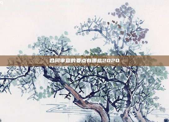 合同审查的要点有哪些2020