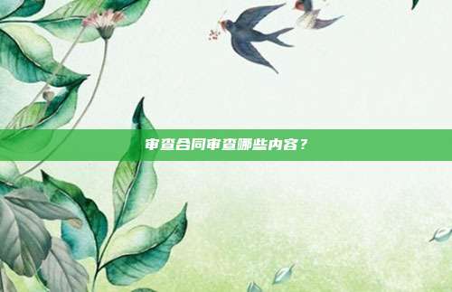 审查合同审查哪些内容？