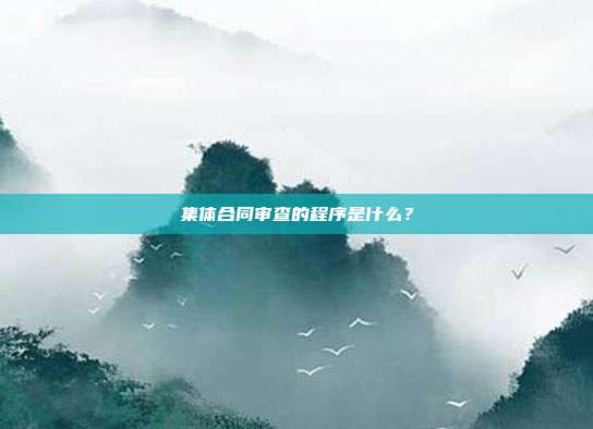 集体合同审查的程序是什么？