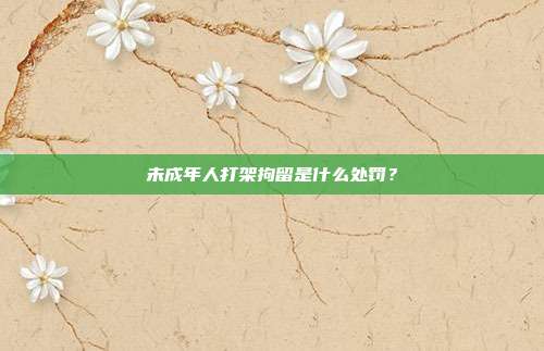 未成年人打架拘留是什么处罚？