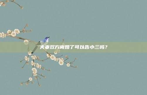 夫妻双方离婚了可以告小三吗？
