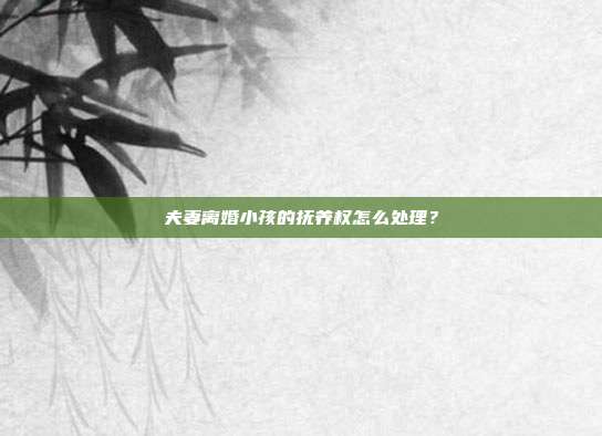 夫妻离婚小孩的抚养权怎么处理？