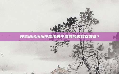 民事诉讼法执行程序若干问题的解释有哪些？