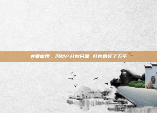 夫妻离婚，因财产分割问题 打官司打了五年