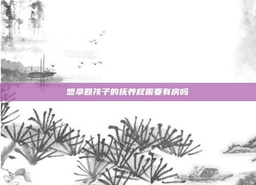 想拿回孩子的抚养权需要有房吗