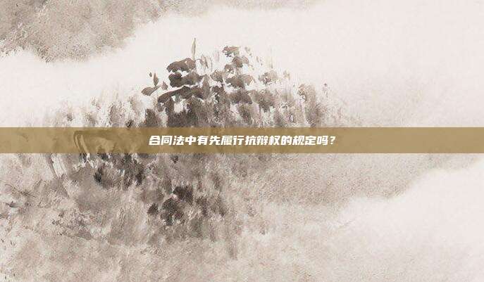 合同法中有先履行抗辩权的规定吗？