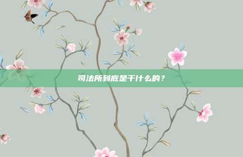 司法所到底是干什么的?