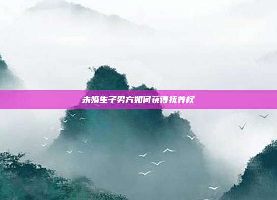 未婚生子男方如何获得抚养权