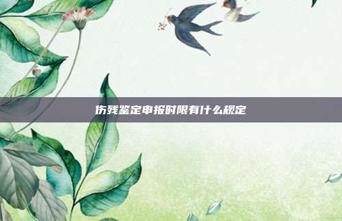 伤残鉴定申报时限有什么规定