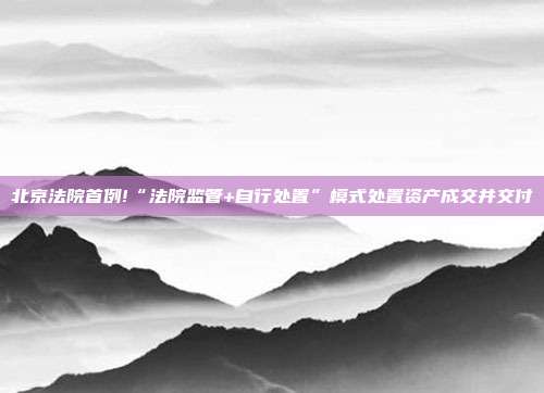 北京法院首例!“法院监管+自行处置”模式处置资产成交并交付