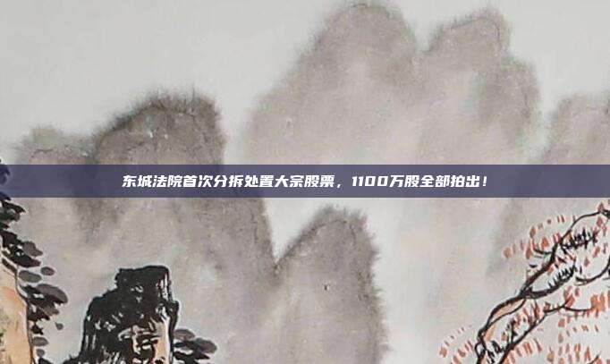 东城法院首次分拆处置大宗股票，1100万股全部拍出！