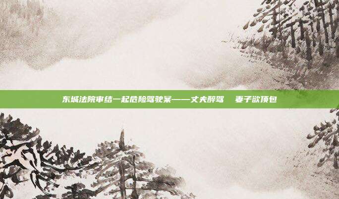 东城法院审结一起危险驾驶案——丈夫醉驾 妻子欲顶包
