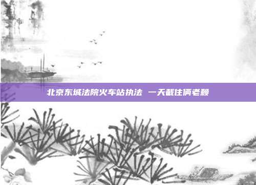 北京东城法院火车站执法 一天截住俩老赖